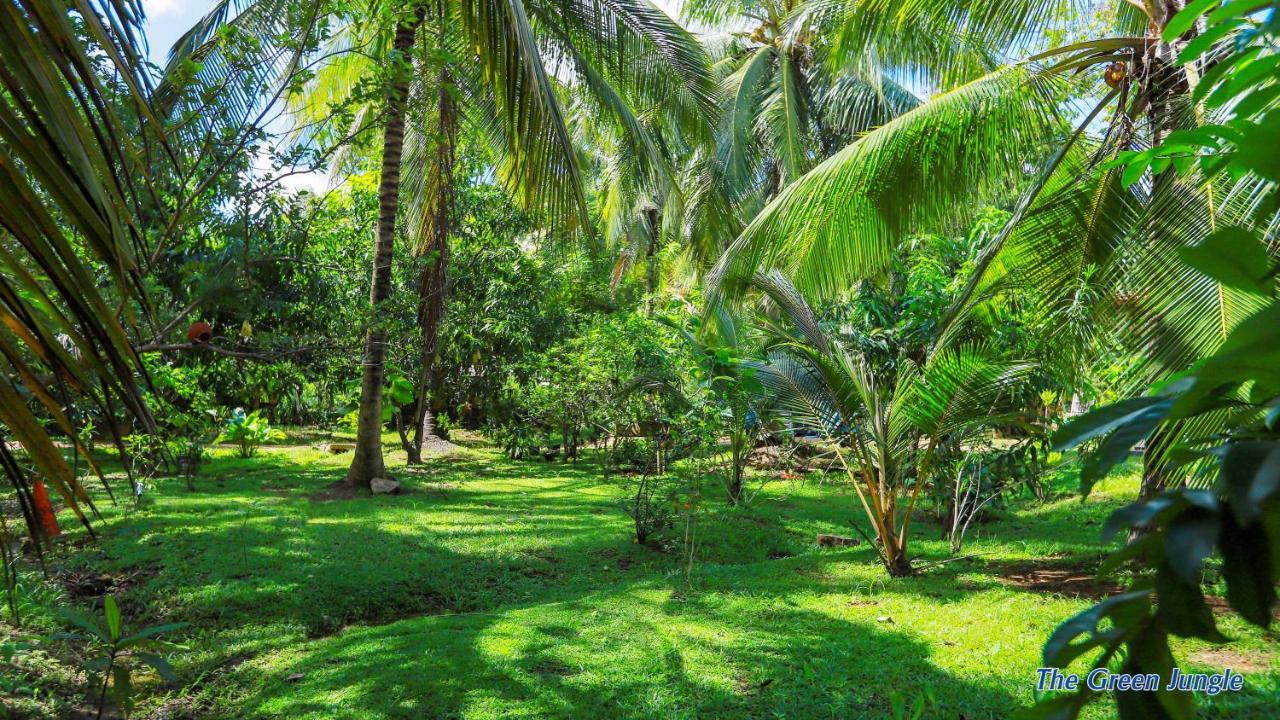 The Green Jungle Dambulla Exterior foto