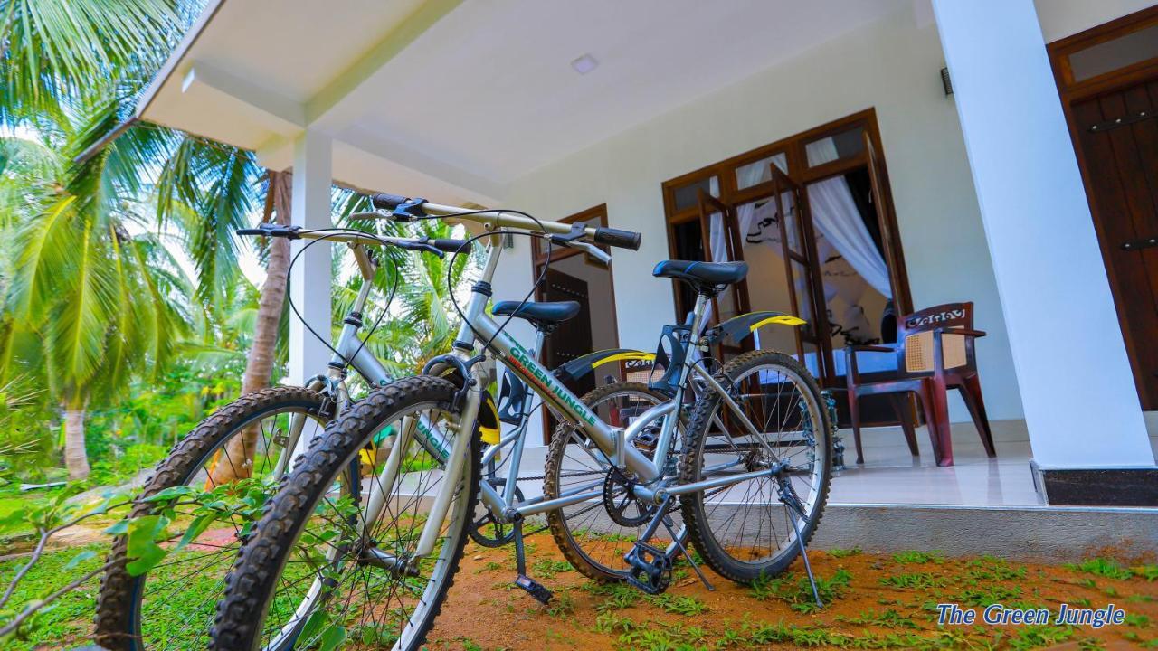 The Green Jungle Dambulla Exterior foto