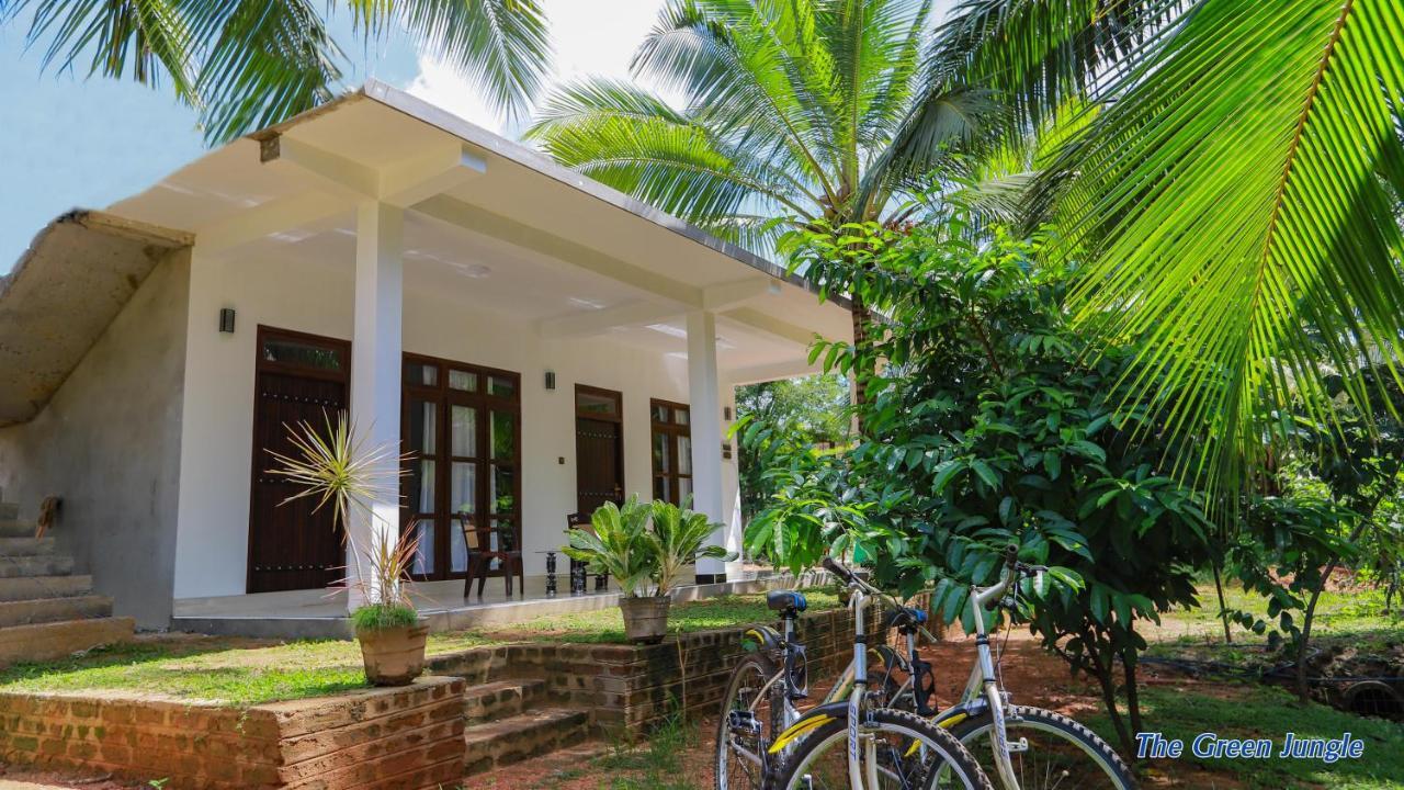 The Green Jungle Dambulla Exterior foto